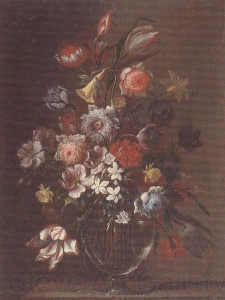 unknow artist Still life of carnations,tulips,roses and daffodils,in a glass vase,upon a table-top Spain oil painting art